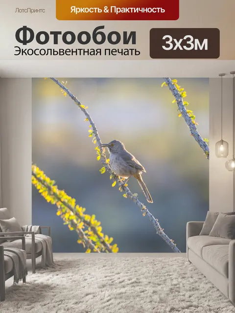 Фотообои Птица сидит