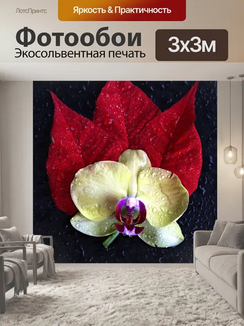 Фотообои Орхидея