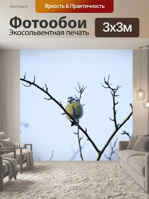 Фотообои Великая Тит