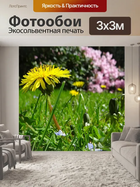 Фотообои Луг