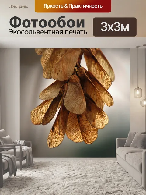 Фотообои Клен