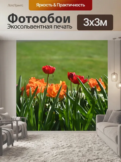 Фотообои Цветы
