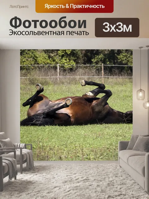 Фотообои Животное