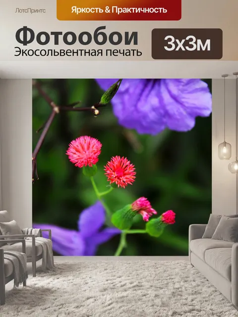 Фотообои Цветы