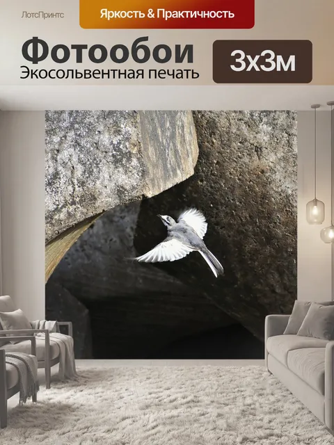 Фотообои Животное