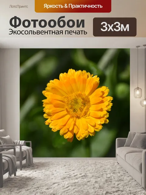 Фотообои Цветы