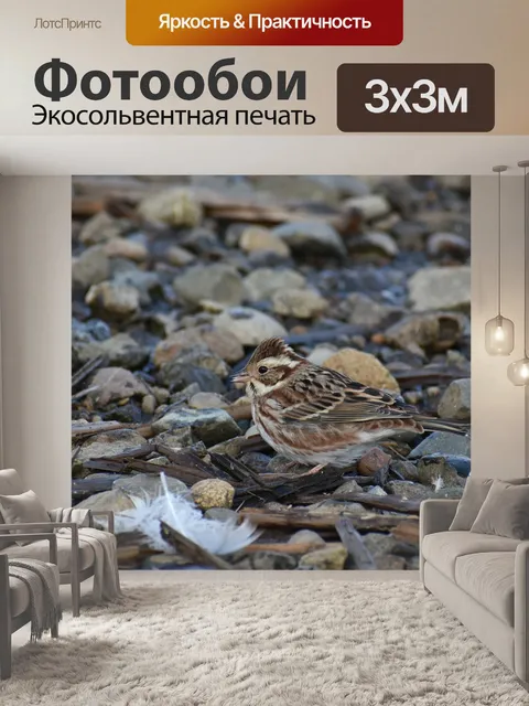 Фотообои Животное