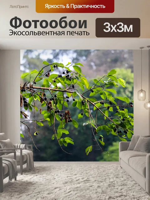 Фотообои Фрукты