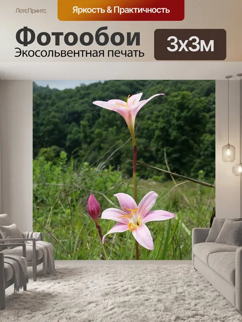 Фотообои Цветок