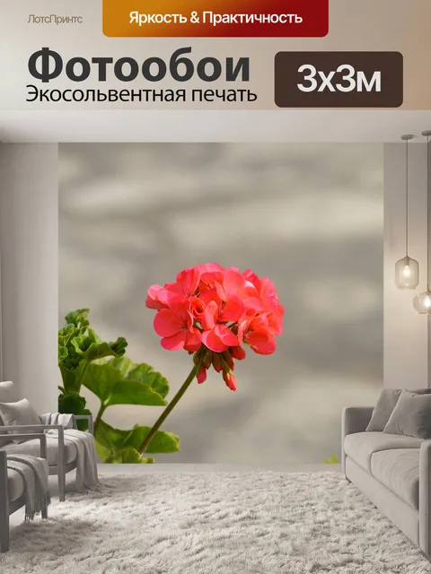 Фотообои Цветок