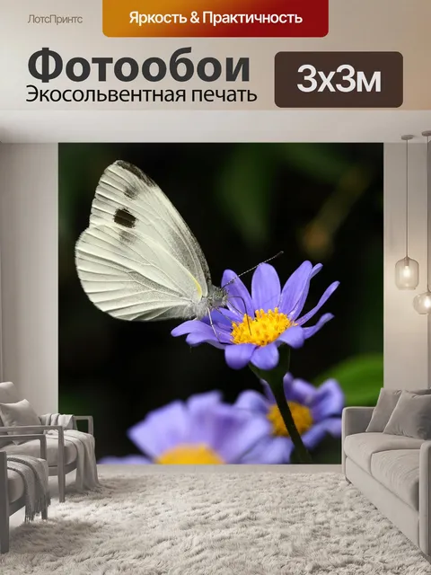 Фотообои Белый
