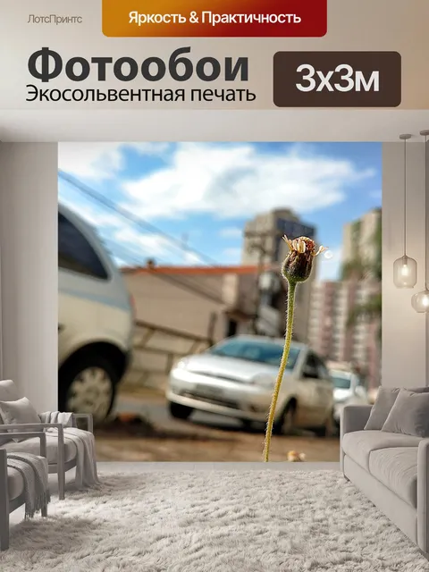 Фотообои Город