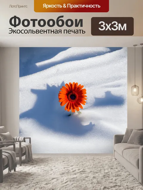 Фотообои зимний день, и единственная гербера распускается среди снега, её яркие цвета ослепляют белизну