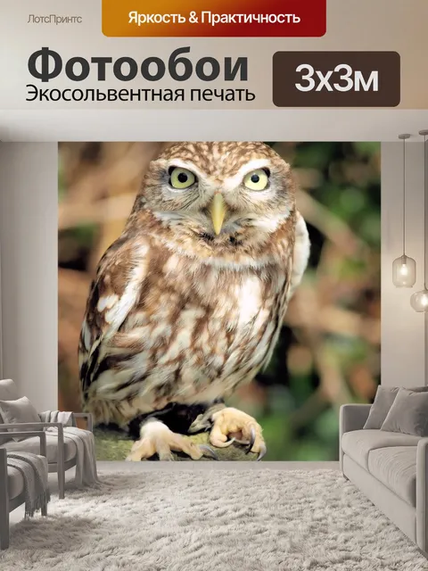 Фотообои Птица