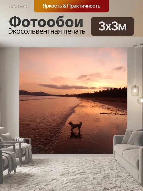Фотообои Вечерний свет на пляже