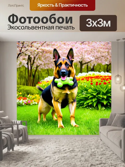 Фотообои немецкая овчарка с игрушкой в рту