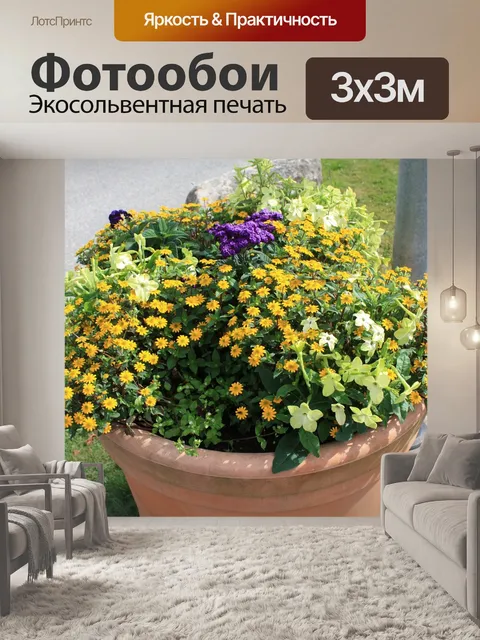 Фотообои Цветы