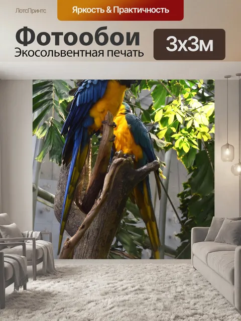 Фотообои Попугаи