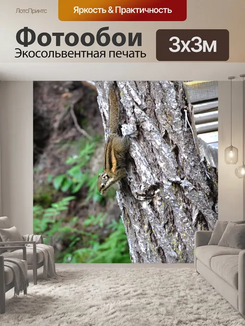 Фотообои Животные