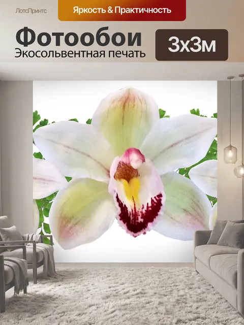 Фотообои Цветы