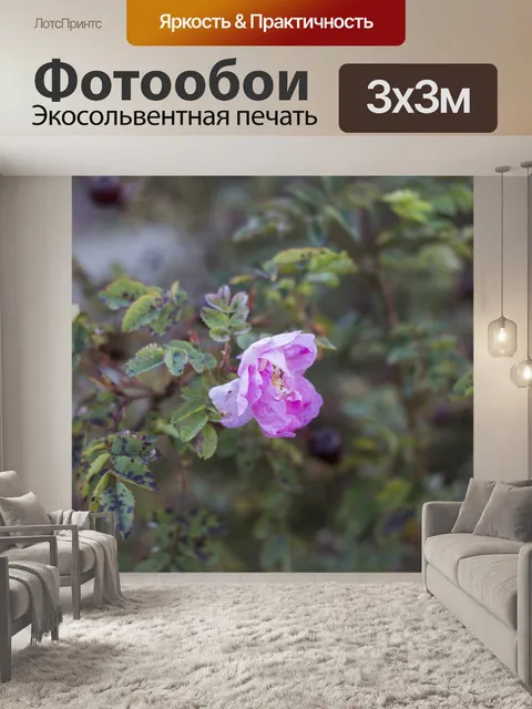 Фотообои Осень