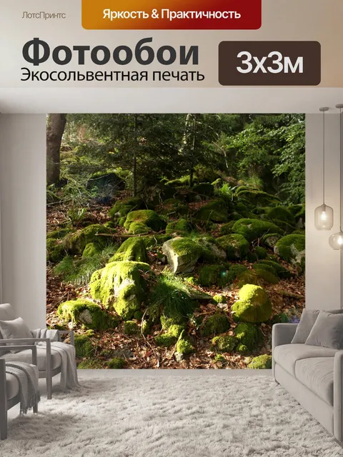 Фотообои Лес