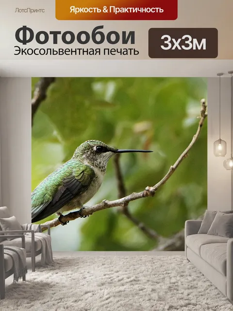 Фотообои Женский рубиновый колибри