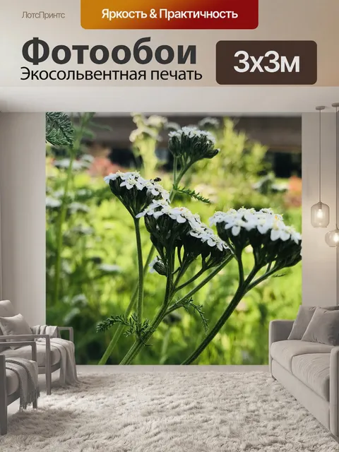 Фотообои Цветы