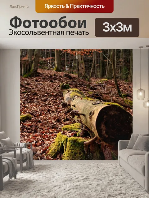 Фотообои Лес