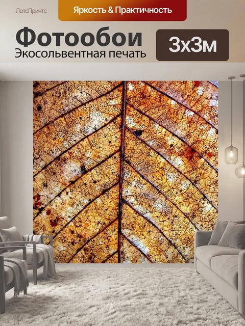 Фотообои Сухой отпуск