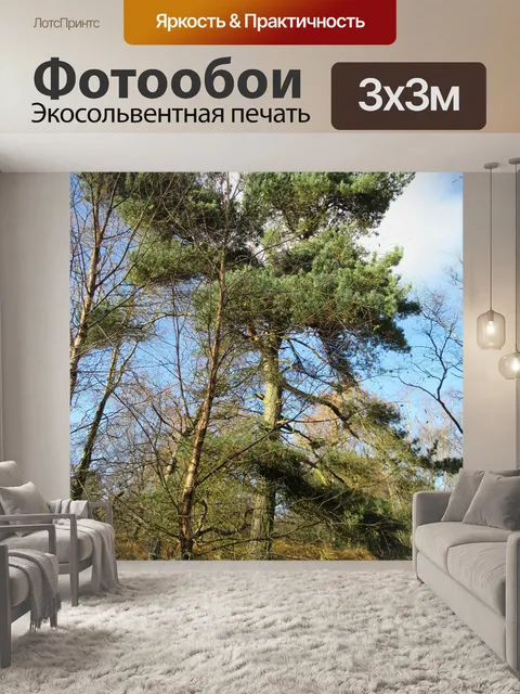 Фотообои Древний