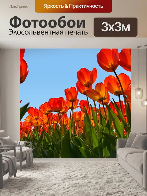 Фотообои Тюльпаны