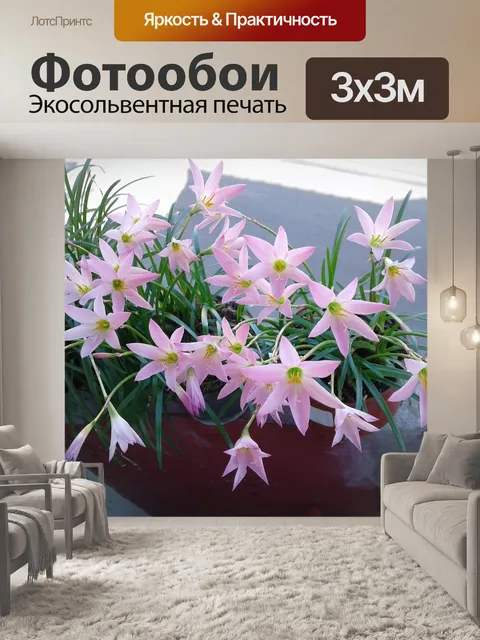 Фотообои Цветы