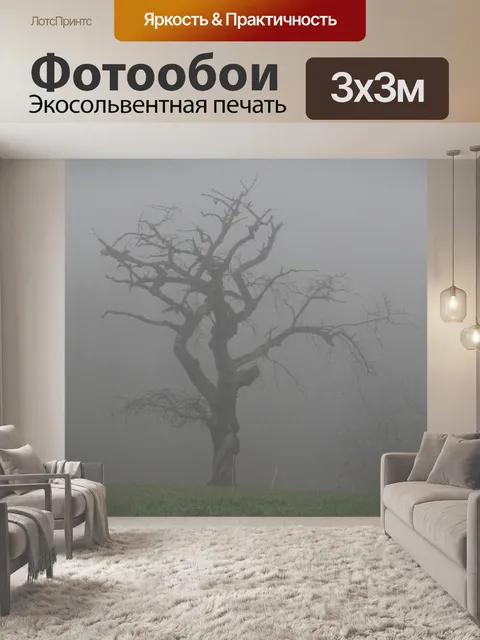 Фотообои Туман