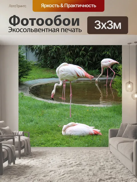 Фотообои Фламинго
