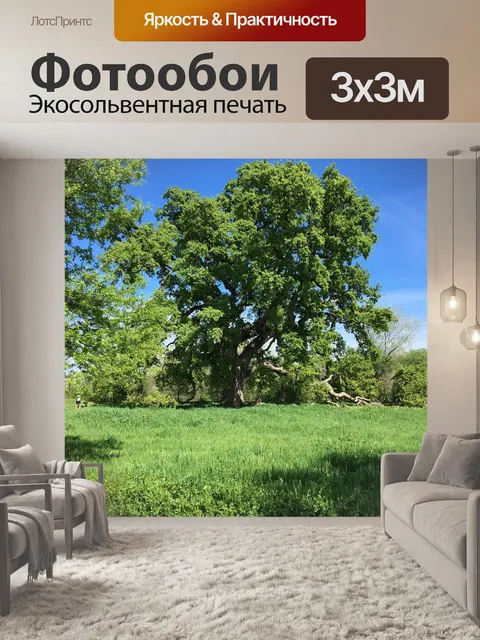 Фотообои Дерево