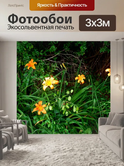 Фотообои тигровая лилия