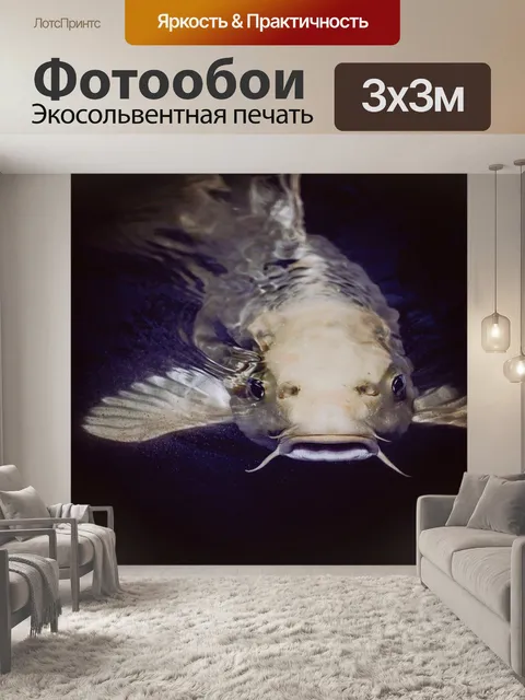 Фотообои Сом