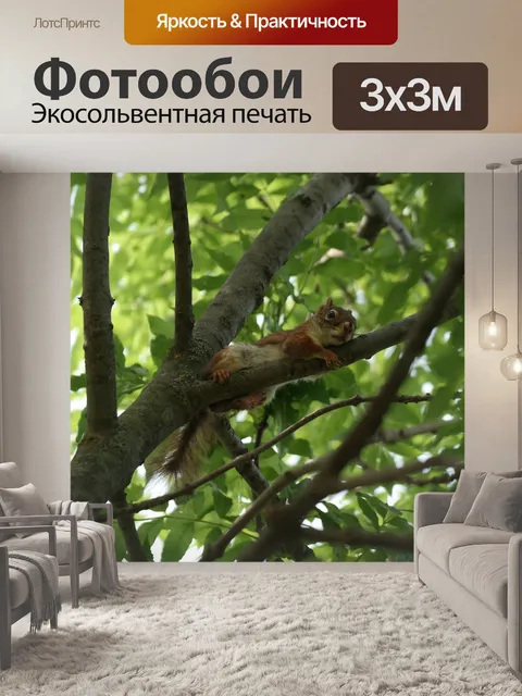 Фотообои Белка