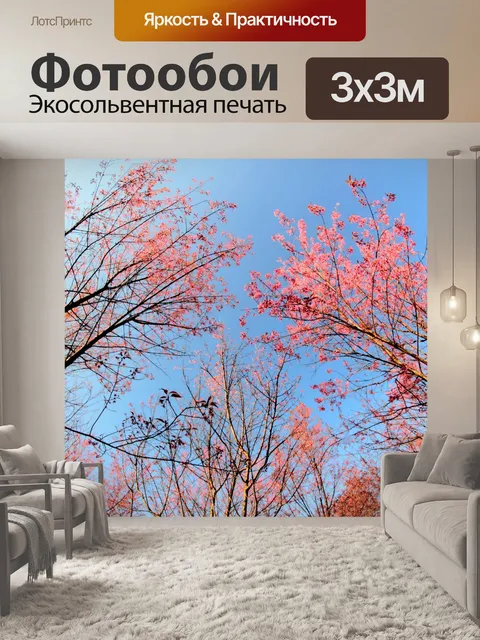 Фотообои Prunus cerasoides, дикая гималайская виш