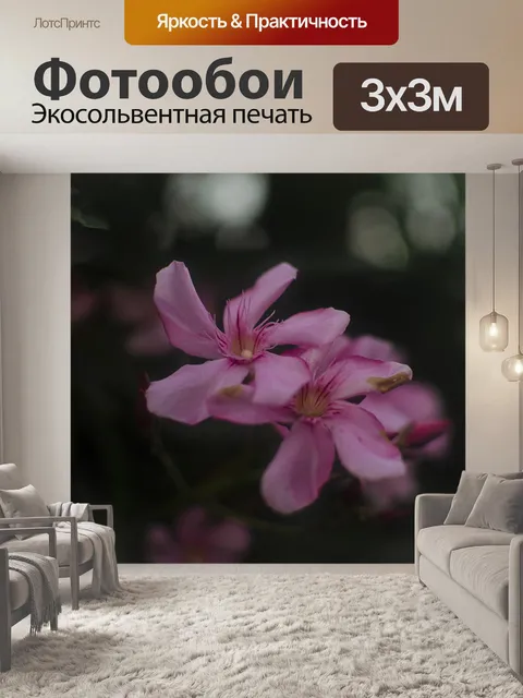 Фотообои Цветы