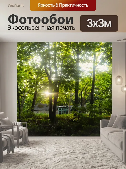 Фотообои Салон самолета