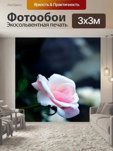 Фотообои Детские розовые розы