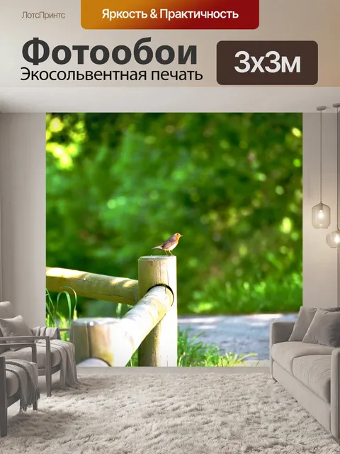 Фотообои Птица Робин на заборе