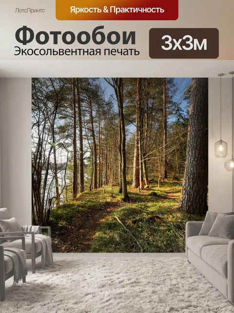 Фотообои Лес