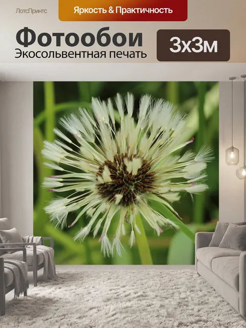 Фотообои Одуванчик