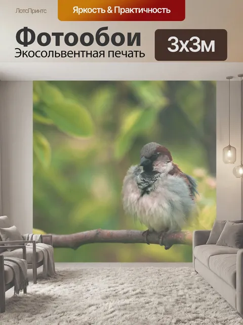 Фотообои Птица