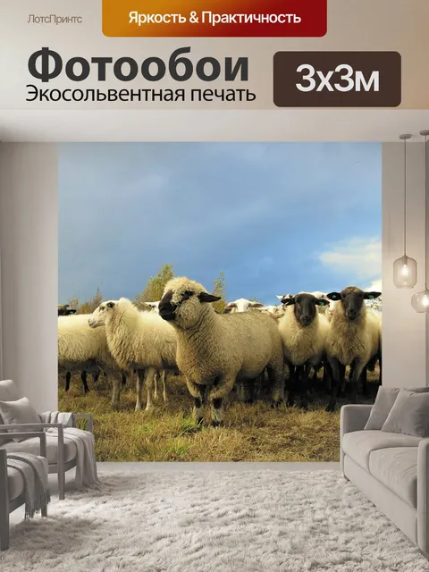 Фотообои Животные