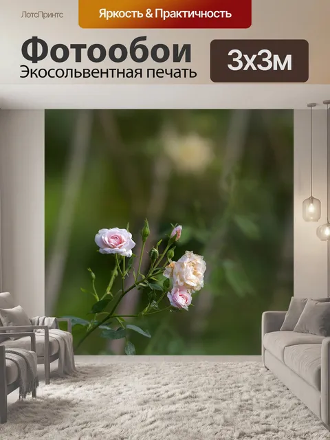Фотообои Роза