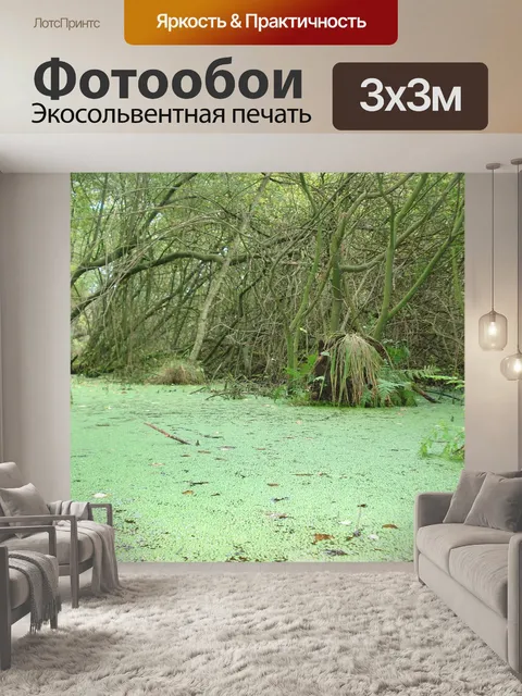 Фотообои Причалить